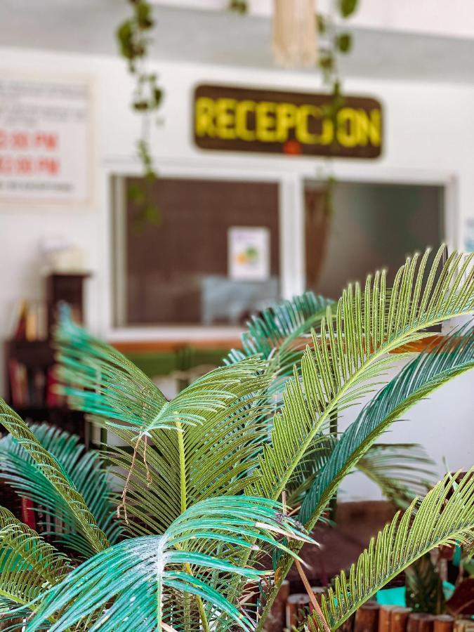 Golden Paradise Hostel Ilha Holbox Exterior foto