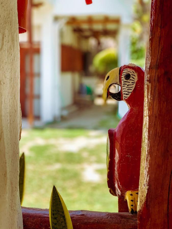 Golden Paradise Hostel Ilha Holbox Exterior foto